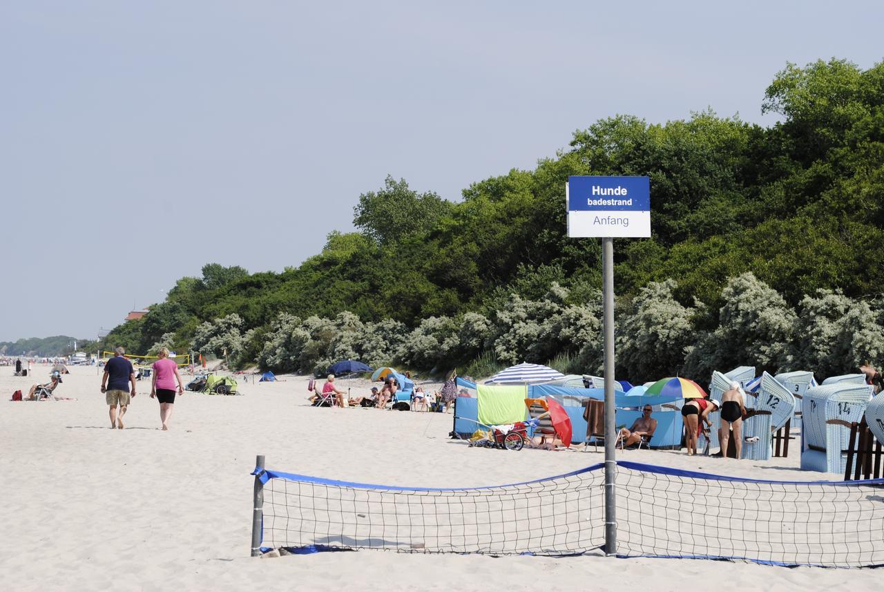 Fewo Schwalbennest Am Meer-Exklusiv-Eigener Strandzugang Ostseebad Kühlungsborn Exterior foto